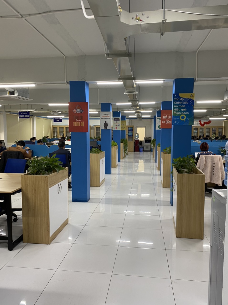 lĩnh vực hoạt động